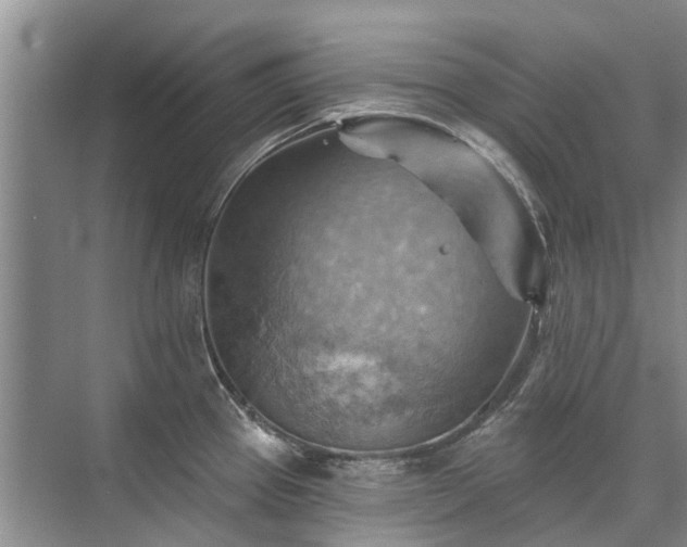 X0000075831337200609151228