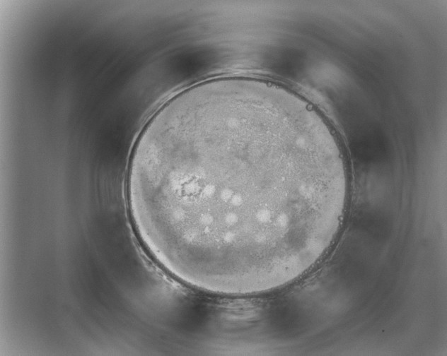 X0000075831338200609151228