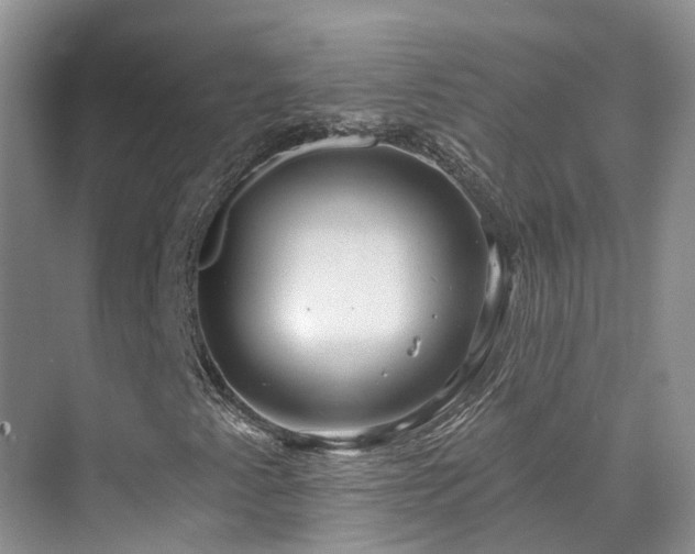 X0000075831345200609151228