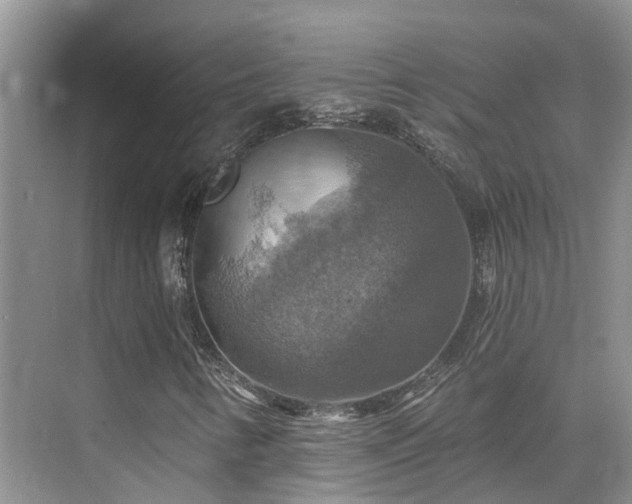 X0000075831346200609151228