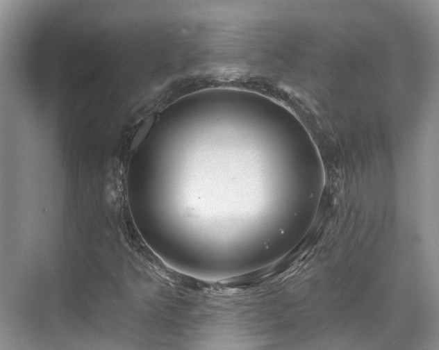 X0000075831349200609151228