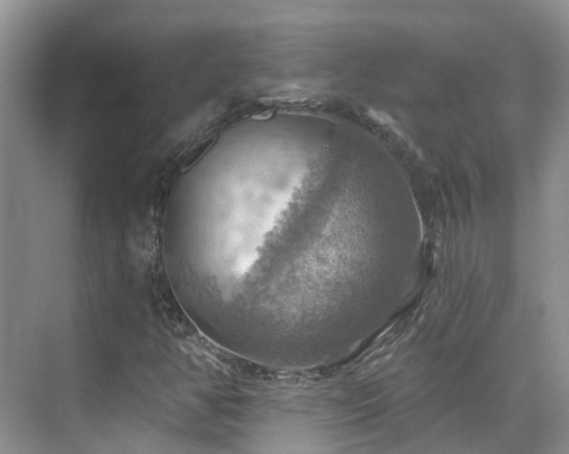 X0000075831350200609151228