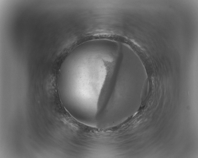 X0000075831351200609151228