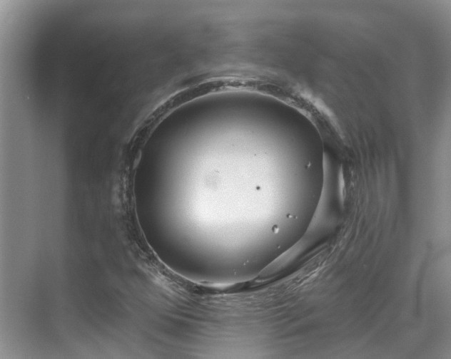 X0000075831352200609151228