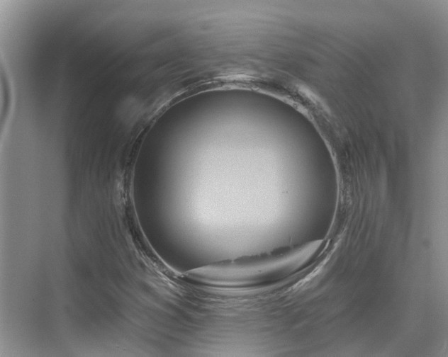 X0000075831353200609151228