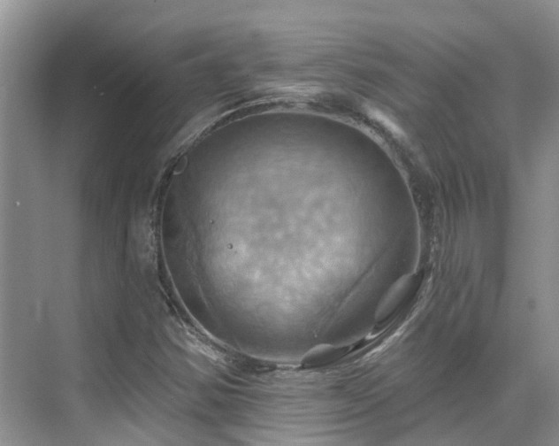 X0000075831354200609151228