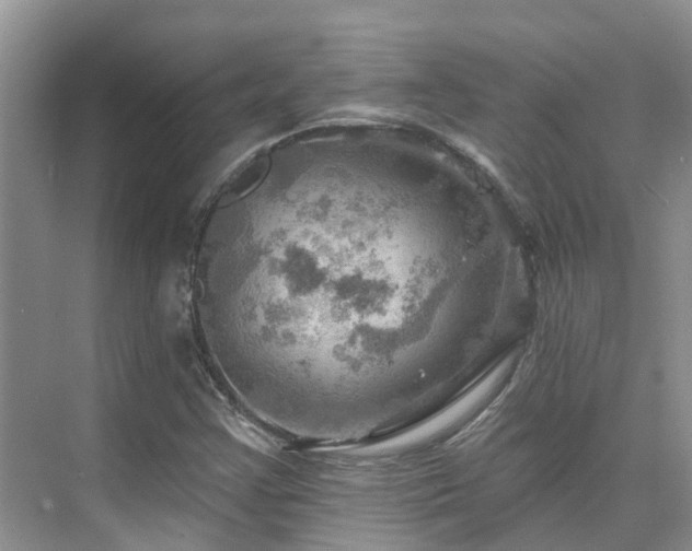 X0000075831355200609151227