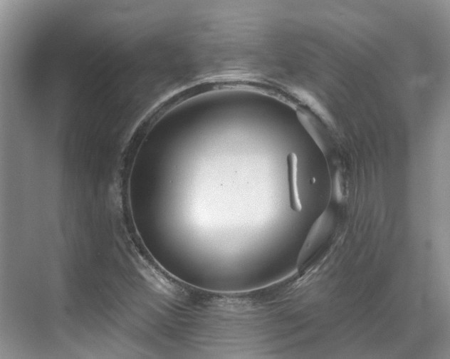 X0000075831356200609151227