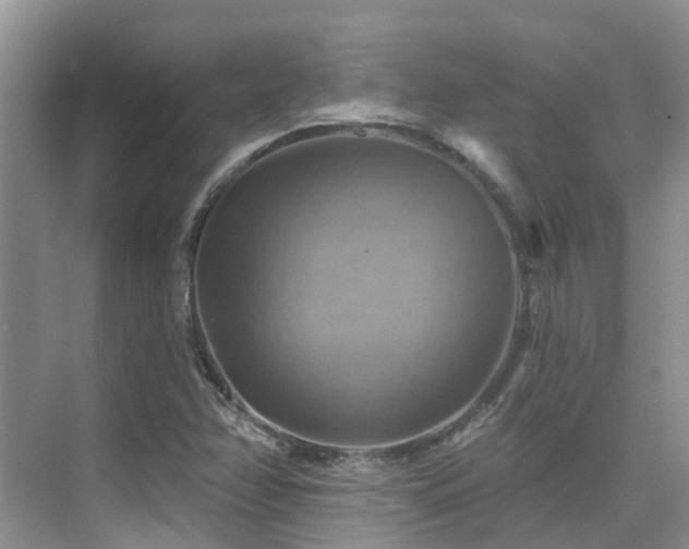 X0000075831358200609151227