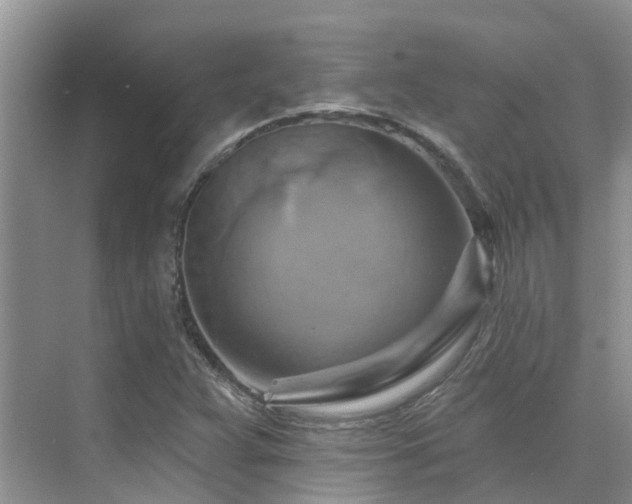 X0000075831359200609151227