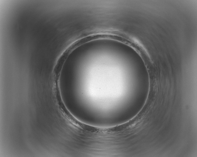 X0000075831360200609151227