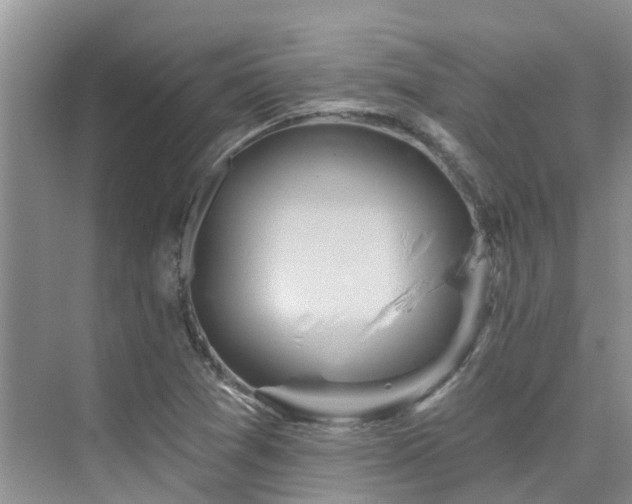 X0000075831361200609151227