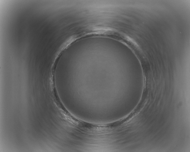 X0000075831362200609151227