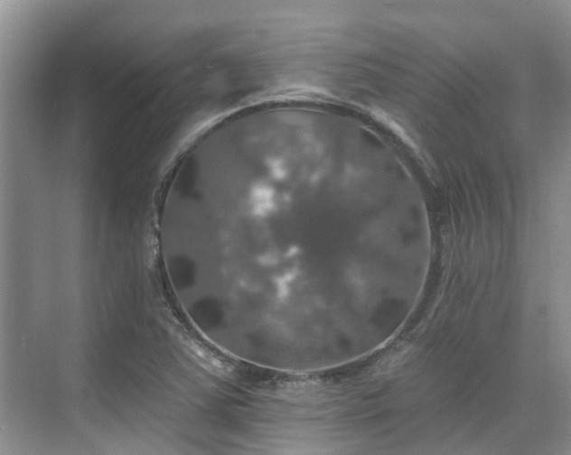 X0000075831363200609151227