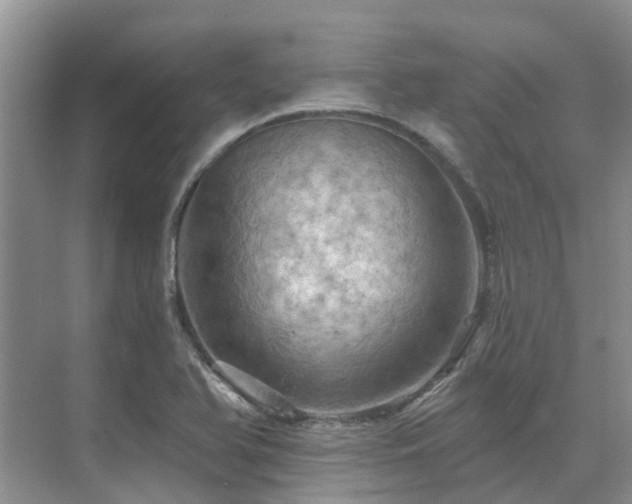 X0000075831366200609151227