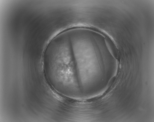 X0000075831367200609151227