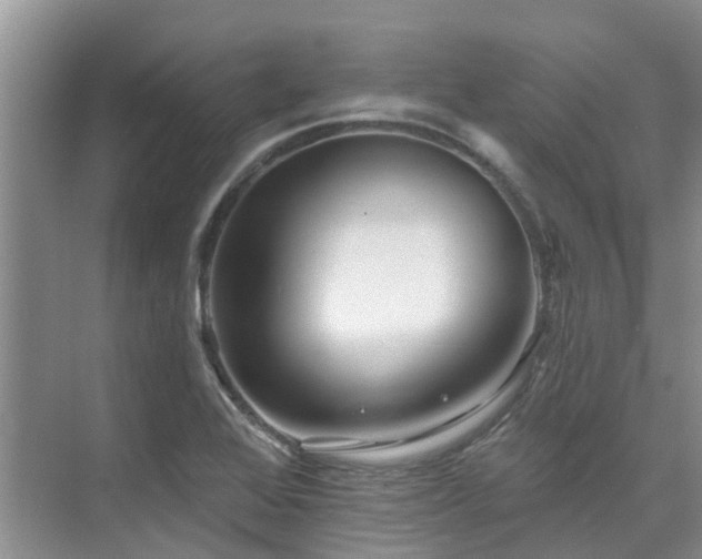 X0000075831368200609151227