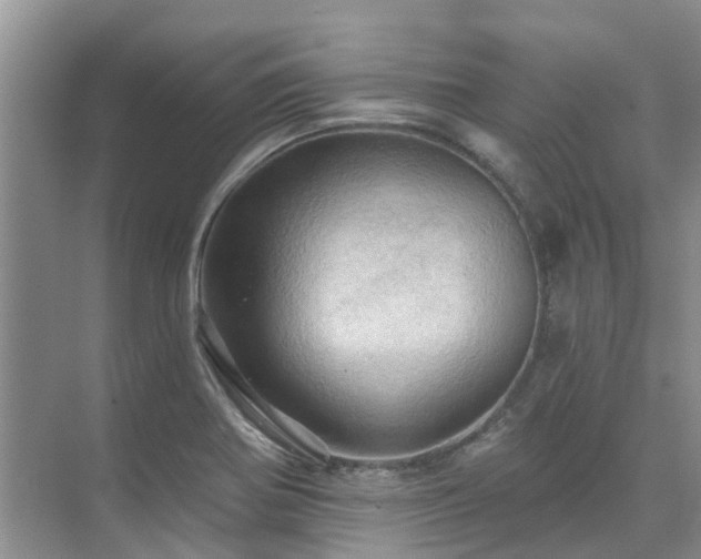 X0000075831370200609151227