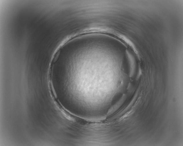 X0000075831373200609151227