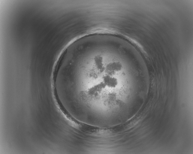 X0000075831375200609151227