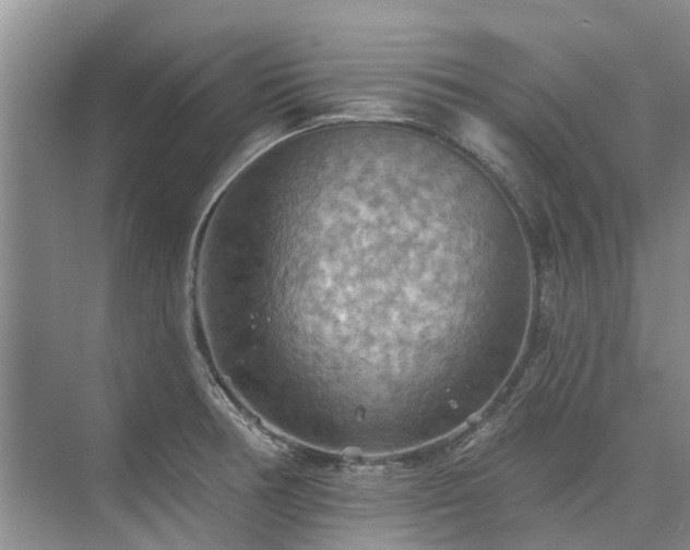 X0000075831378200609151227