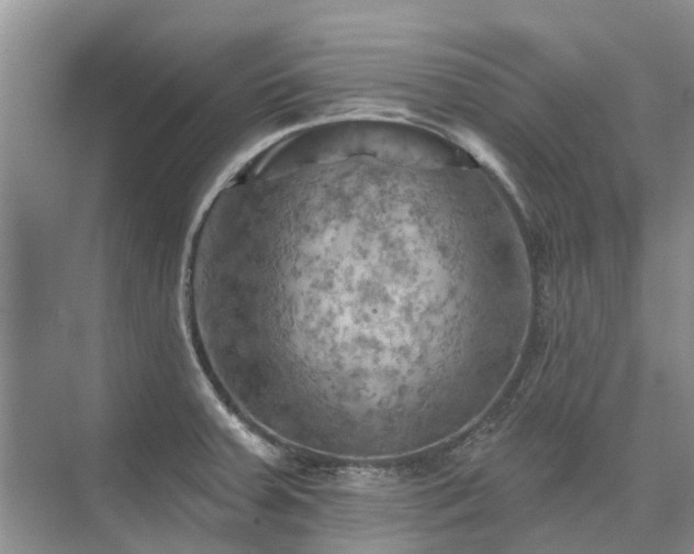 X0000075831379200609151227