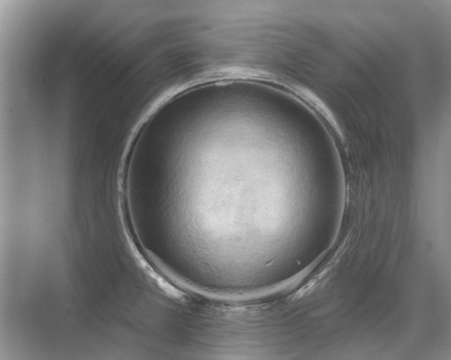 X0000075831381200609151227