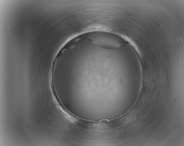 X0000075831383200609151227