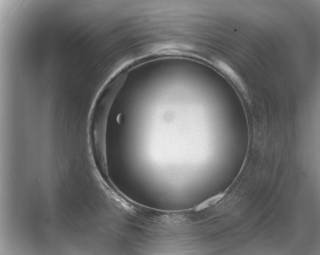 X0000075831384200609151227