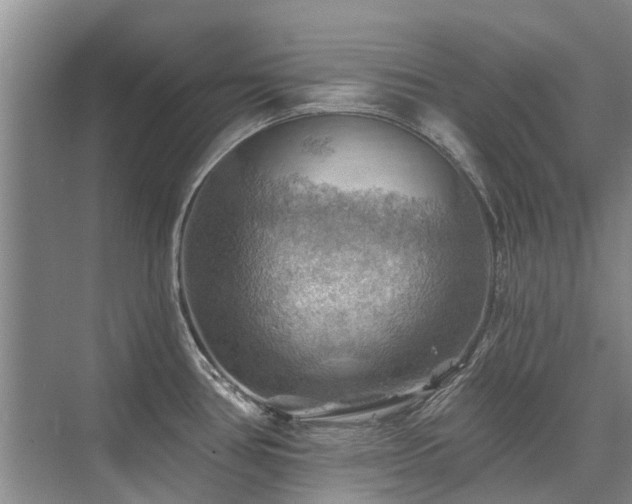 X0000075831386200609151227