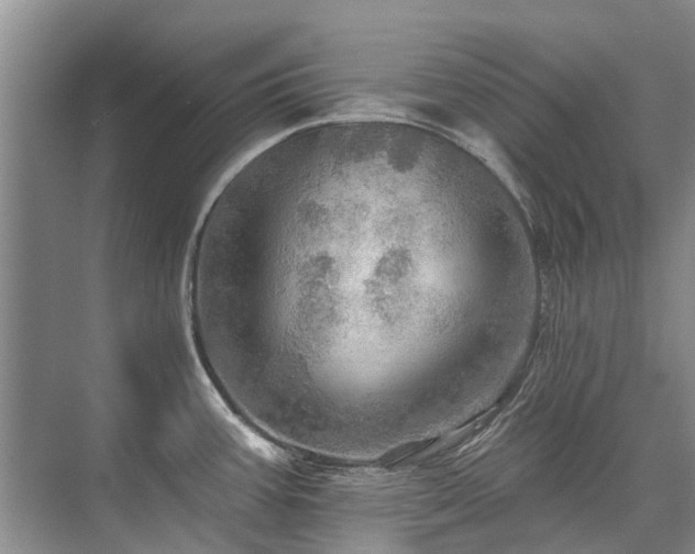 X0000075831387200609151227