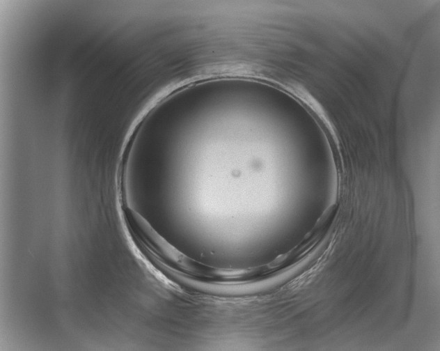 X0000075831389200609151227