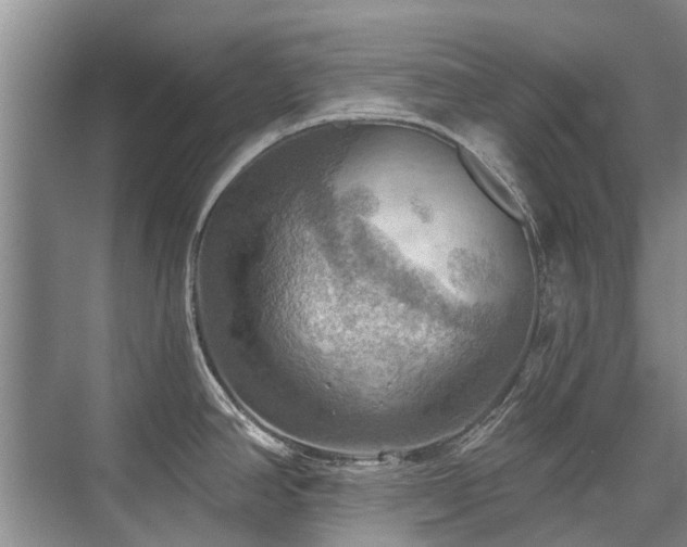 X0000075831390200609151227