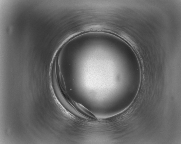 X0000075831392200609151227