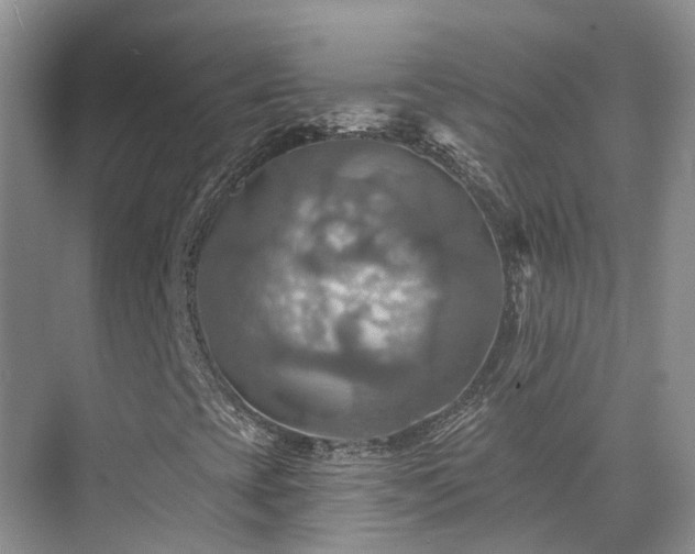 X0000075831393200609151226