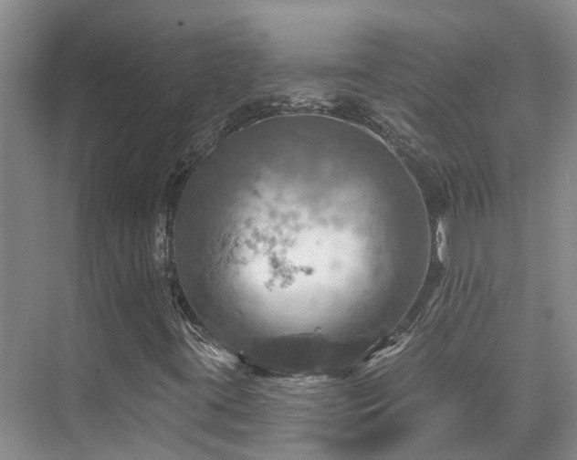 X0000075831395200609151226