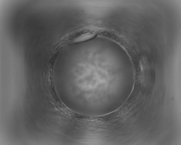 X0000075831397200609151226