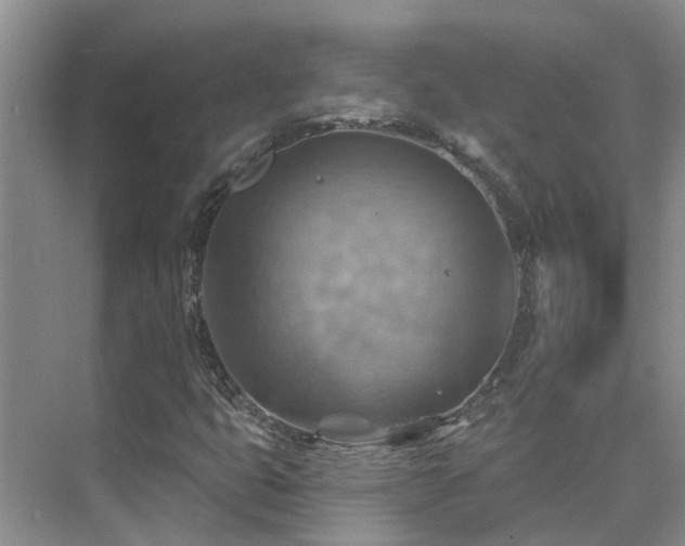 X0000075831399200609151226