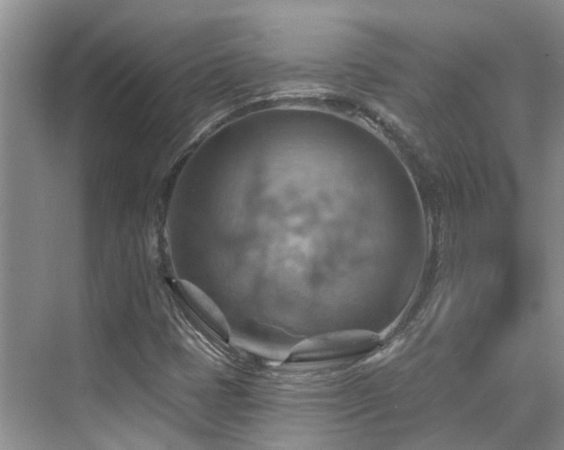 X0000075831401200609151226