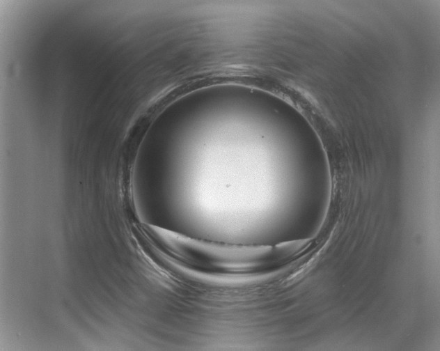 X0000075831402200609151226