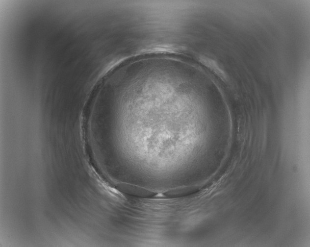 X0000075831404200609151226