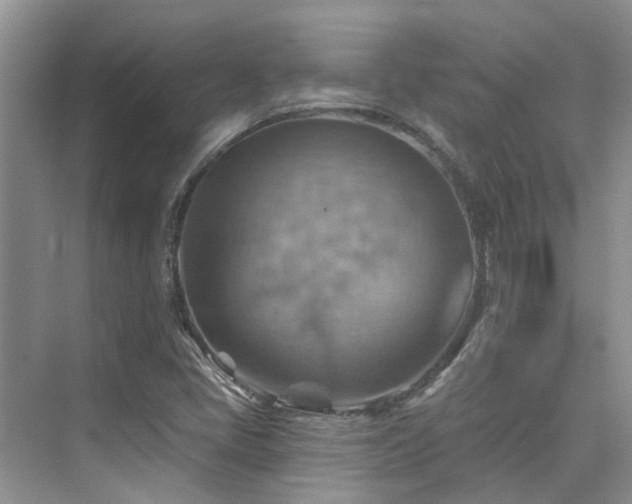 X0000075831405200609151226