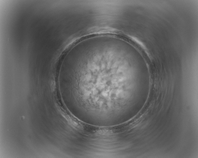 X0000075831407200609151226