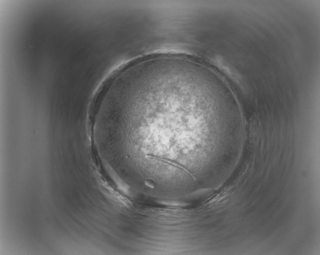 X0000075831408200609151226