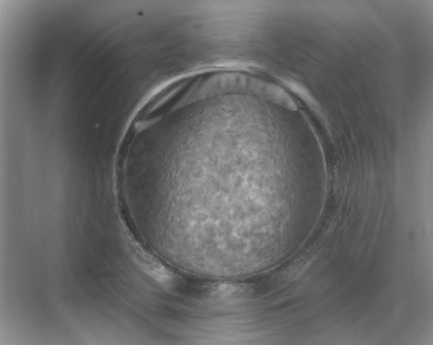 X0000075831412200609151226