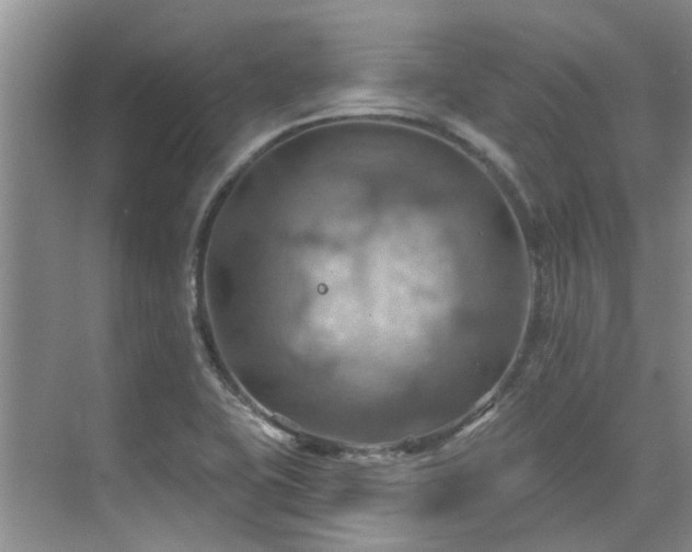 X0000075831415200609151226