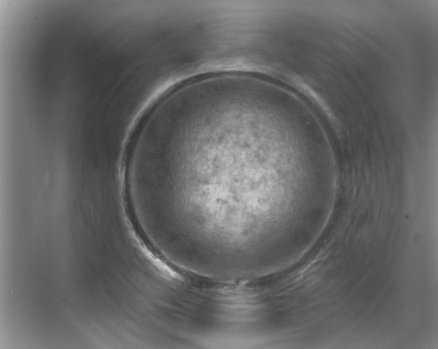 X0000075831416200609151226