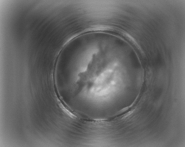 X0000075831417200609151226