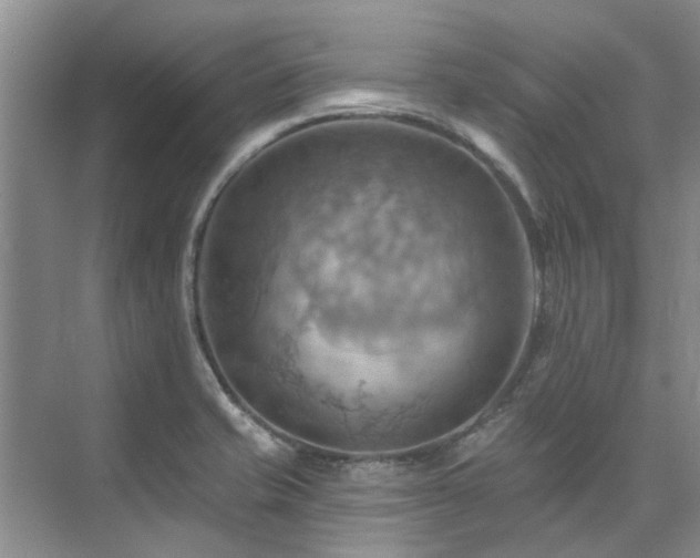 X0000075831421200609151227