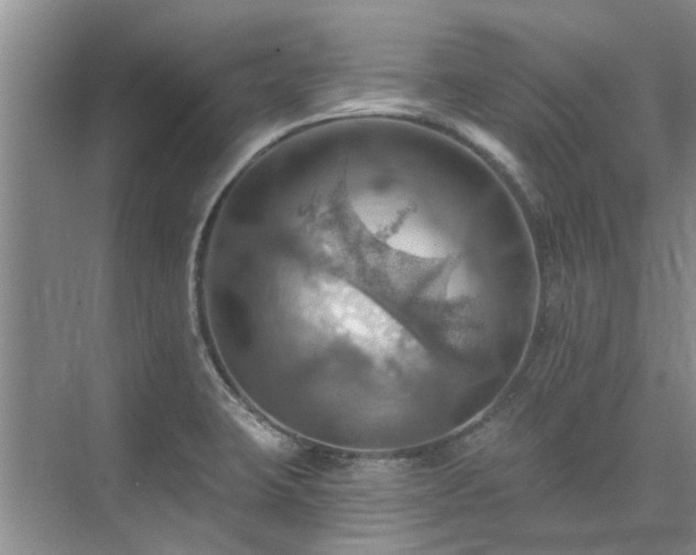 X0000075831423200609151227